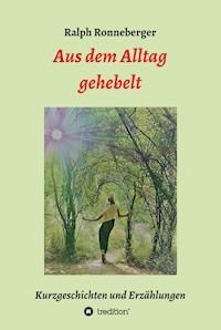 Aus dem Alltag gehebelt - Ralph Ronneberger - E-Book