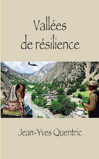 Vallées de résilience - Jean-Yves Quentric - E-Book