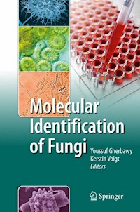 Molecular Identification of Fungi -  - E-Book