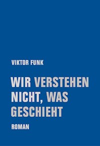 Wir verstehen nicht, was geschieht - Viktor Funk - E-Book