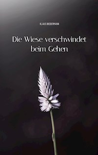 Die Wiese verschwindet beim Gehen - Klaus Biedermann - E-Book