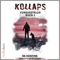 KOLLAPS - HK Kohfink - Hörbuch