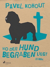 Wo der Hund begraben liegt - Pavel Kohout - E-Book