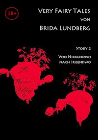 Von Nirgendwo nach Irgendwo - Brida Lundberg - E-Book