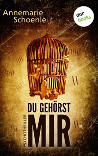 Du gehörst mir - Annemarie Schoenle - E-Book