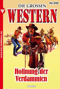Hoffnung der Verdammten - John Gray - E-Book
