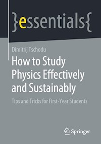 How to Study Physics Effectively and Sustainably - Dimitrij Tschodu - E-Book