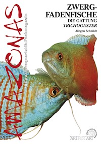 Zwergfadenfische - Jürgen Schmidt - E-Book