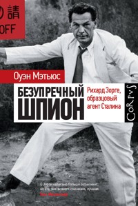 Безупречный шпион - Оуэн Мэтьюс - E-Book