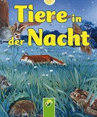Tiere in der Nacht - Bärbel Oftring - E-Book