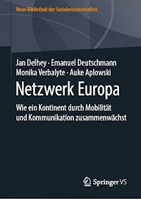 Netzwerk Europa - Jan Delhey - E-Book