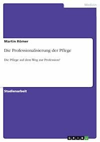 Die Professionalisierung der Pflege - Martin Römer - E-Book