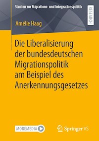 Die Liberalisierung der bundesdeutschen Migrationspolitik am Beispiel des Anerkennungsgesetzes - Amélie Haag - E-Book