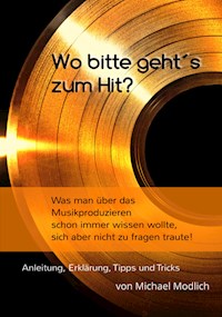 Wo bitte geht´s zum Hit? Was man schon immer über das Musik produzieren wissen wollte, sich aber nicht zu fragen traute! - Michael Modlich - E-Book