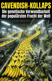 Cavendish-Kollaps - Matthias Meyer - E-Book