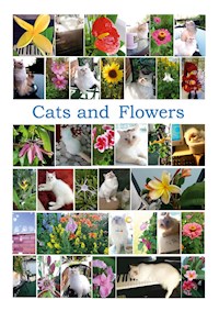 Cats and Flowers - Susanna Király - E-Book
