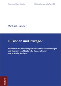 Illusionen und Irrwege? - Michael Gaßner - E-Book