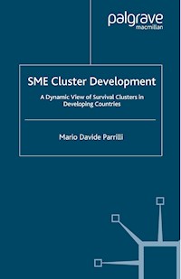 SME Cluster Development - M. Parrilli - E-Book