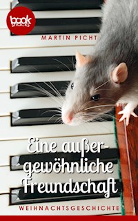 Eine außergewöhnliche Freundschaft - Martin Picht - E-Book