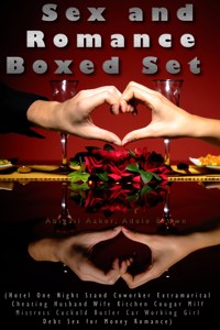 Sex and Romance Boxed Set (Hotel One Night Stand Coworker Extramarital Cheating Husband Wife Kitchen Cougar Milf Mistress Cuckold Butler Car Working Girl Debt Sex for Money Romance) - Abigail Aaker - E-Book