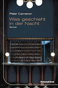 Was geschieht in der Nacht - Peter Cameron - E-Book