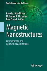 Magnetic Nanostructures -  - E-Book