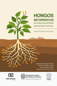 Hongos Micorrizicos en Chiles Silvestres de Montaña Tropical - Alejandro Rodríguez Suárez - E-Book