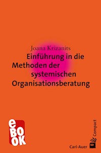 Einführung in die Methoden der systemischen Organisationsberatung - Joana Krizanits - E-Book