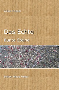Das Echte - Volker Friebel - E-Book