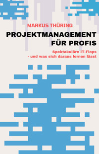PROJEKTMANAGEMENT FÜR PROFIS - Markus Thüring - E-Book