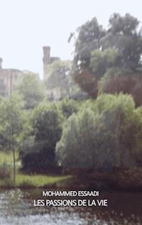 Les passions de la vie - Mohammed Essaadi - E-Book