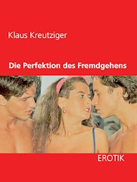 Die Perfektion des Fremdgehens - Klaus Kreutziger - E-Book
