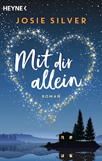 Mit dir allein - Josie Silver - E-Book