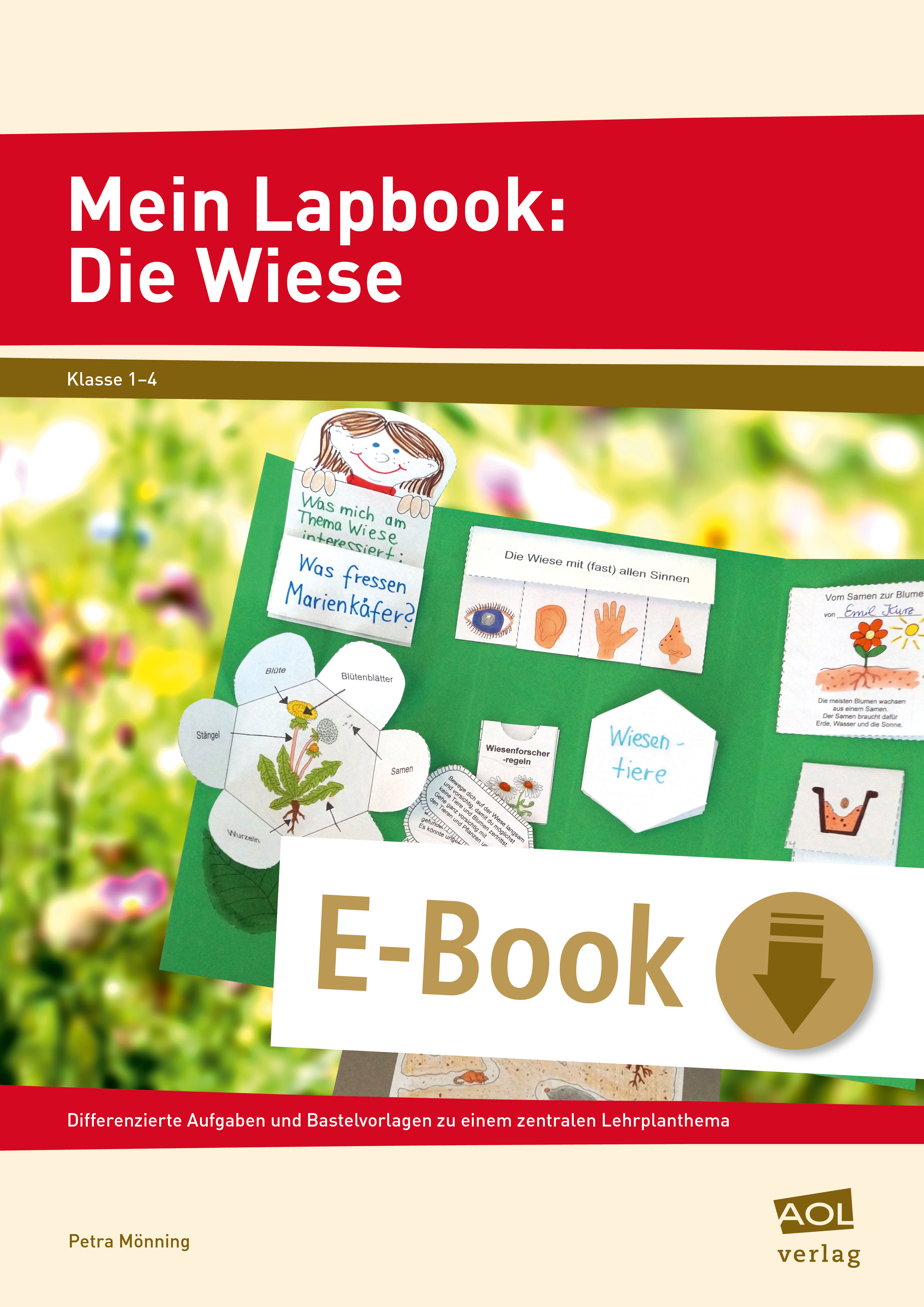 Mein Lapbook: Die Wiese - Petra Mönning - E-Book