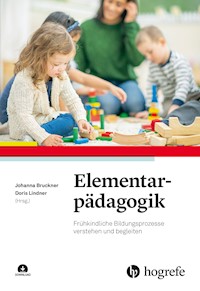 Elementarpädagogik -  - E-Book