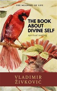 The Book About Divine Self - Vladimir Živković - E-Book