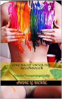 Eine Nacht unter dem Regenbogen - Andre Le Bierre - E-Book