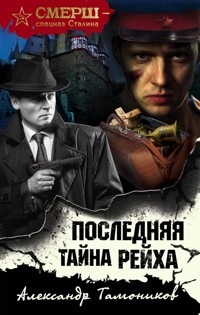 Последняя тайна рейха - Тамоников Александр - E-Book