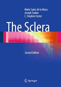 The Sclera - Maite Sainz de la Maza - E-Book
