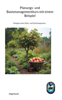 Planungs- und Basismanagementkurs mit einem Beispiel - Raginmund - E-Book