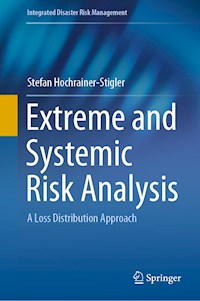 Extreme and Systemic Risk Analysis - Stefan Hochrainer-Stigler - E-Book
