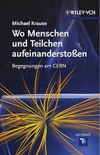 Wo Menschen und Teilchen aufeinanderstoßen - Michael Krause - E-Book