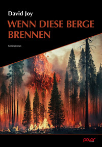Wenn diese Berge brennen - David Joy - E-Book
