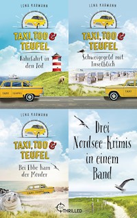 Taxi, Tod und Teufel - Lena Karmann - E-Book