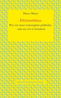 Effizienzhülsen - Marco Meyer - E-Book