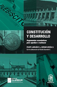 Constitución y desarrollo - Felipe Larraín B. - E-Book
