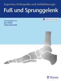 Expertise Fuß und Sprunggelenk -  - E-Book