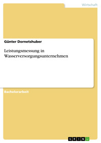 Leistungsmessung in Wasserversorgungsunternehmen - Günter Dornetshuber - E-Book