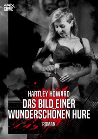 DAS BILD EINER WUNDERSCHÖNEN HURE - Hartley Howard - E-Book