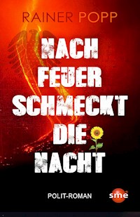Nach Feuer schmeckt die Nacht - Rainer Popp - E-Book